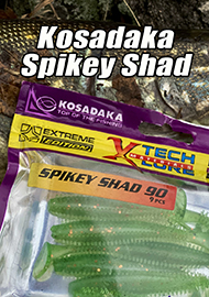 Обзор: Обзор "Kosadaka Spikey Shad"